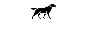 CAPITAL COMPANION-0300px